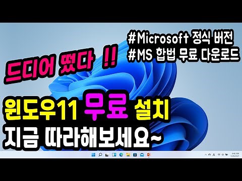 [Microsoft 공식 배포] 윈도우11 정식버전, 무료 설치 방법 (MS 공식 홈피 다운로드) #Windows11정식출시 #윈도우11무료다운로드