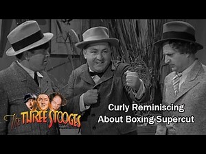 The Three Stooges | Curly Reminiscing About Boxing Supercut
