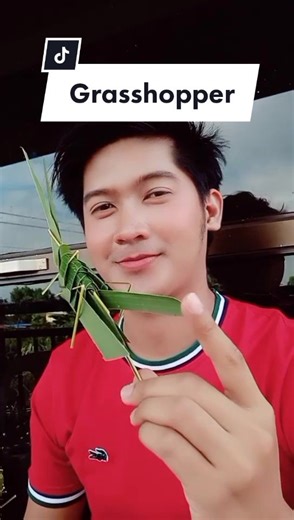 DIY Grasshopper Craft: How to Make a Grasshopper from Popsicle Sticks