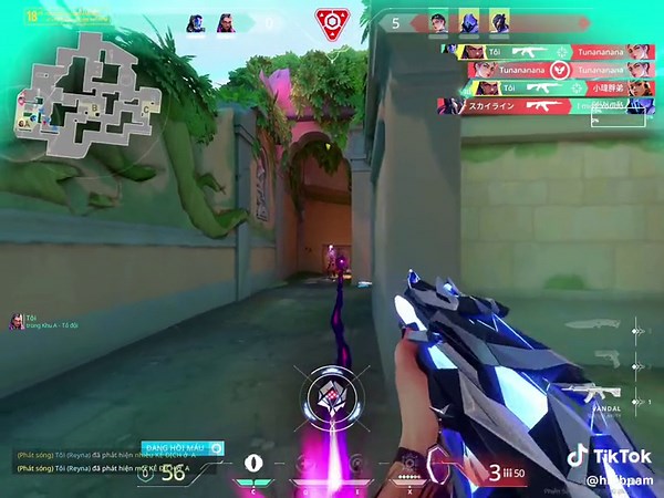 Ace in Valorant With Singularity Vandal