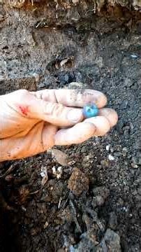 Marble hunting is a quiet adventure With eyes trained on the ground, hunters search through dirt to