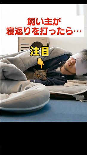 飼い主が寝返りを打ったら猫が…