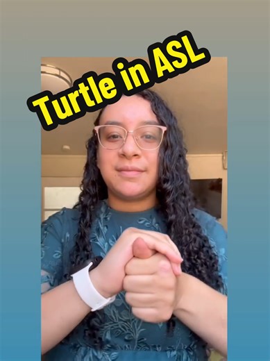 My favorite sign: Turtle #turtle #asl #favorite #sign #learnaslwithdeborah