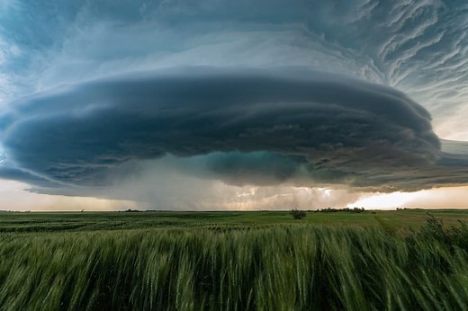 Saurer Regen - Definition, Entstehung & Auswirkungen