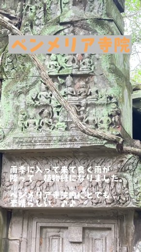 カンボジア雨季の季節 ベンメリア寺院です。 #旅行 #アンコールワット #nature #カンボジア #travel #automobile