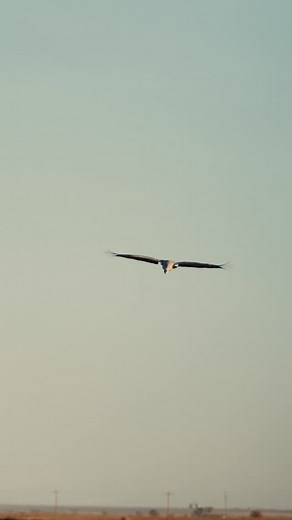 30 reactions | Toes in the dirt, just how we like it!  | Muddy Water Outfitters | Facebook