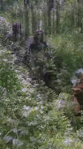 15K views · 1.6K reactions | I believe everybody has ever had this instant urge to become a Night Elf. 利‍♀️ My favourite race ever.  Full costume made by me! All costume patterns posted on my Gumroad. Photo by @lina_fk “Sonne” cover by Dragica and Marco. #blizzard #worldofwarcraft #nightelf | Narga and Aoki cosplay | Facebook