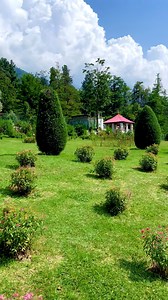 Garden view #pahalgam #best ❤️💐 | Explore Pogal Paristan