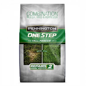 Pennington One Step Complete Tall Fescue Patch and Repair Grass Seed Mix, Sun to Partial Shade, 5 lb