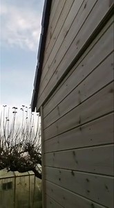 This is the new 36x8 loft of Tony Brown! 6 sections, with corridor trapping, tiled roof, sliding ceiling in 4 sections, pipo boxes for young birds, up and over boxes for widowhood birds, Tony had 3 door spaces left for his own traps - All the best for the new season Tony We can deliver lofts all over the world, inbox us with a size and design you like, also your location, we can give you a quick estimate. If you include what currency we will give you a cost in local currency. If you’d like a bro