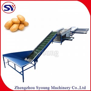 [Hot Item] Best Price Vegetable Sweet Potato Tomato Carrot Washing Grading Sorter Machine