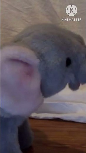 Baby Mozart The Movie: Elephant Scene #babyeinstein #remastered #remake