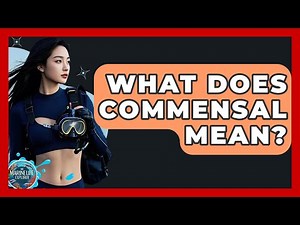 What Does Commensal Mean? - The Marine Life Explorer