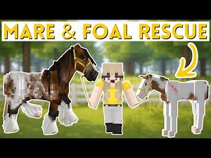 Abandoned Mare and Foal Rescue! | Minecraft SWEM RRP