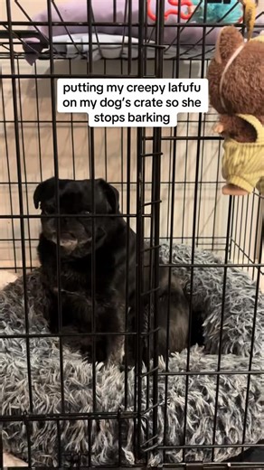 Pug Life Vibes on Instagram: "fear tactic ☆ 📸👉 @jaelynglu ☆ Follow @puglifevibe Follow @puglifevibe Follow @puglifevibe For credit or removal, please DM us! ✉️ ☆ #pug #pugdog #pugsofinstagram #pugsoftheday #puglife #babypug #puglovers #pugloversclub #pugstagram #puglet #pugsrequest #pugofdestiny #pugsforever #pugsdoingthings #pugloversofinsta #pugmaniacos #pugsoftheworld #pugaday #pugo #pugfanworld #popularpugs #worldofpug #obsessedwithpugs #pugsofinsta #pugofhome #blackpugpuppy #pugsmania #bl