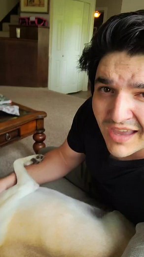 Mr.Mixer (@mr..mixer)’s videos with original sound - Mr.Mixer