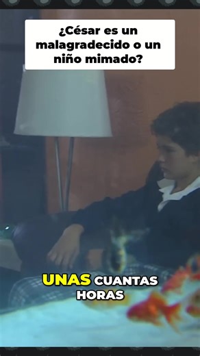 ¡Agresión Familiar y Fútbol! Drama Inesperado Revelado#humor #video #parati #viral #fyp