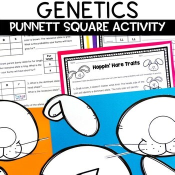 Genetics and Punnett Square Activity Punnet Square Practice Worksheets Lesson