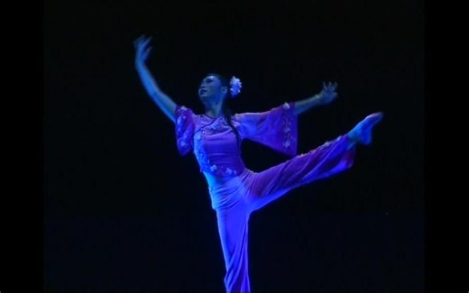 【李领】《朝花夕拾》第九届桃李杯古典舞独舞 女子独舞