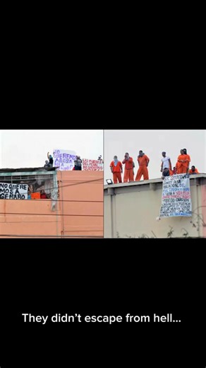 “44 Dead, 30 Vanished: The Bloody Truth of Apodaca Prison” #Narco #Crime | Mexican horror chronicles