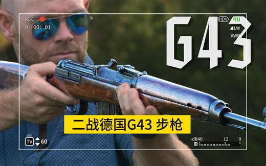 德国在第二次世界大战期间开发的G43 步枪