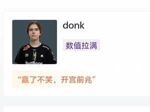 PGL决赛Spirit 3-1 Astralis：donk再添一冠 虎扑现状+赛后数据_哔哩哔哩bilibili