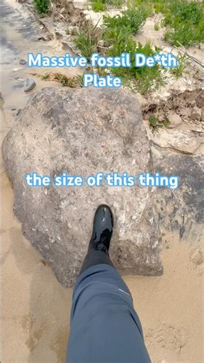 The #lakemichigan ⛈️ have uncovered some glacial boulders! #chicksthatrock #rockhounding #fossils