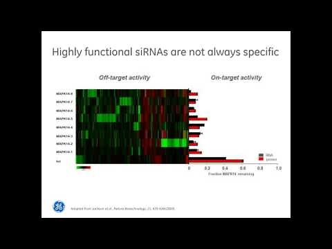 Louise Baskin - Getting Started with siRNA Practical Considerations & Recommendations Webinar
