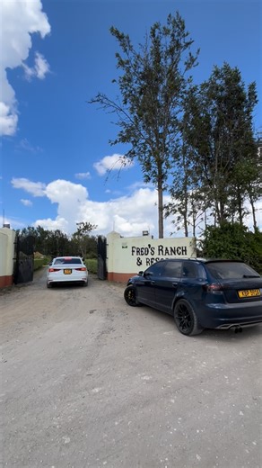 Best Automotive Photographer | Fred’s Ranch drive recap 🔥🔥🔥 #cars #carswithoutlimits #quattro #carsofinstagram #events | Instagram