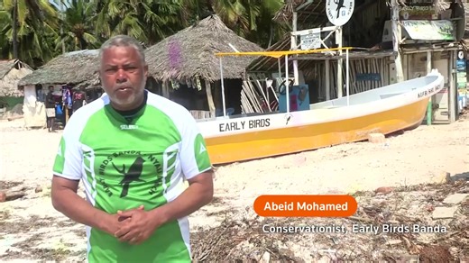 37K views · 292 reactions | Newly-hatched sea turtles, each no bigger than a palm, emerged from their nests on a Kenyan beach and set off on a perilous journey to the ocean as conservationists watched. | Reuters | Facebook