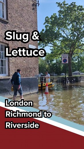 Historic Pub Crawls® on Instagram: "This popular cocktail bar sees the tide reach right up to its front steps but rarely into the bar itself. No wellies needed. Although a common pub name (as part of a large chain), it has nothing to do with the oddly named and unpleasantly looking genus of North American slugs that are often bright yellow - although they may also be greenish, brown, tan, or white. Banana slugs are hermaphroditic and their courtship process can be quite robust and, in certain sp