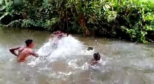 File:Africa and Play- A moment of swim and play.webm - Wikimedia Commons