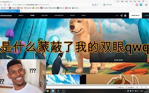 D站这啥情况？求解qwq