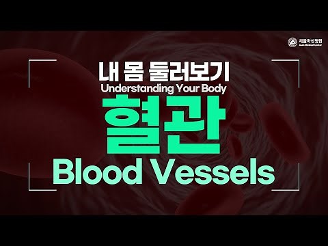 Blood Vessels [Understanding Your Body]