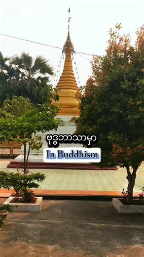 Understanding Dharma in Buddhism for Everyone