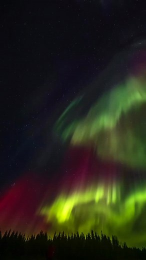 3.2K views · 2K reactions | Crazy aurora dancing in the sky! Have you seen shows like this one? | Aurora Hunting | Facebook