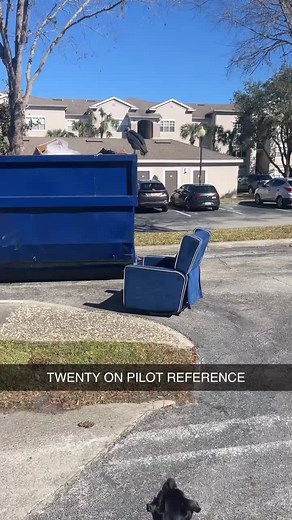 Exploring Twenty One Pilots' Flightless Bird Meaning