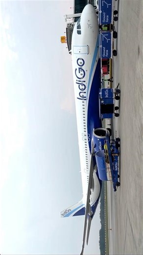 Sketching My Day| Doodle with me ✨#subhracreates #doodleart #doodleart