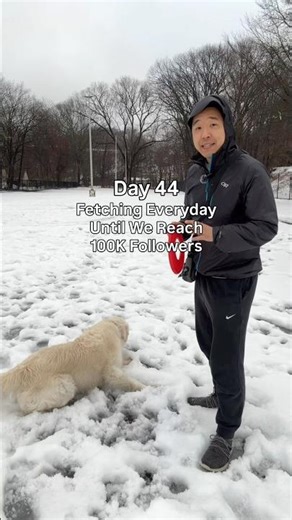 Day 44 of fetching everyday with my dog Kobe until we reach 100k followers!