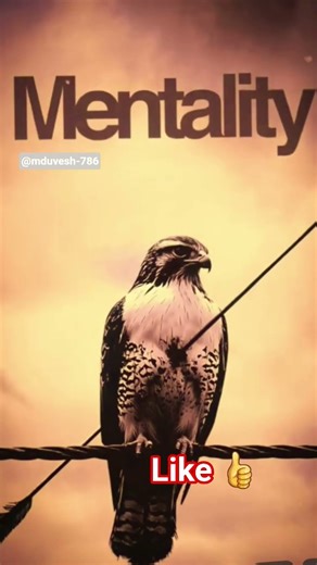 #don't touch foe man ego