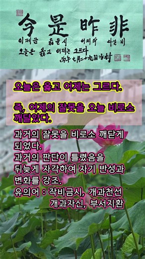 #고사성어 343 #금시작비 #사자성어 #서예 #한문 #한자