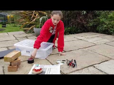 Making a feeding station for hedgehogs in your garden