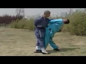 Shaolin Kung Fu: 36 fight techniques