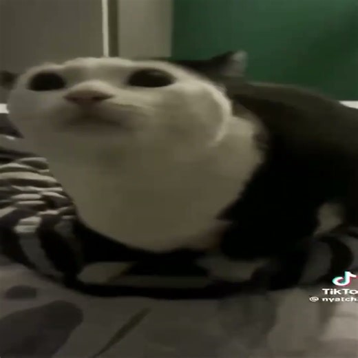 21st century humor part 146