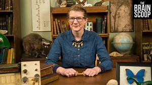 We're taking a break from our regular content this week to share this message with you. It's more important than ever to remind ourselves who we are, and what good we can do for our planet, and for one another. | The Brain Scoop