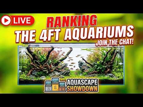 [LIVE] Ranking All The 4ft Aquariums on The Market! + a Give Away and Fish Q&A!