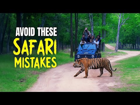 Ultimate Guide to Jungle Safaris in India: Bookings, Mistakes & Wildlife Secrets!