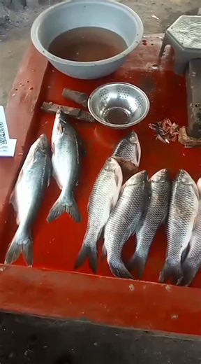 4 comments | Manoj Sahani on Reels | Facebook