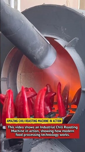 Amazing Chili Roasting Machine in Action | Industrial Pepper Roaster.