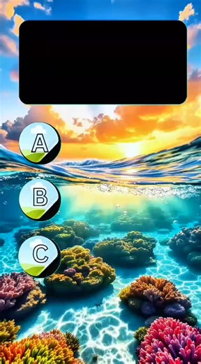 can you pass the physics quiz test #QuizTime #TriviaTime #BrainTeaser #fyp #BrainTest | Quiz Aama | Facebook